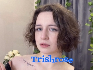Trishrose