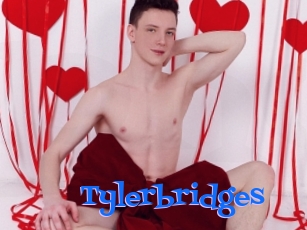 Tylerbridges