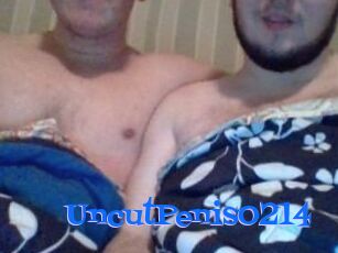 UncutPenis0214