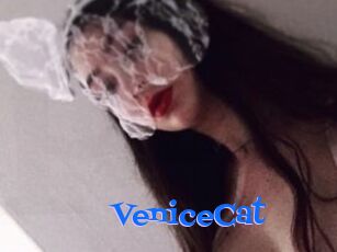 VeniceCat