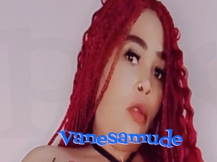 Vanesamude