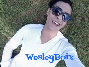 Wesley_Boix