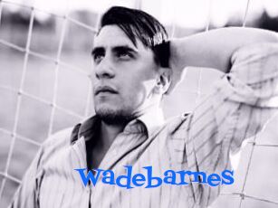 Wadebarnes