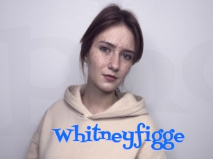 Whitneyfigge