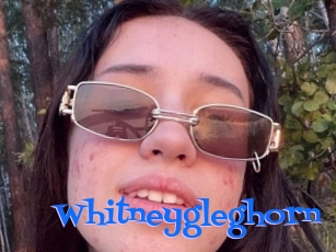 Whitneygleghorn