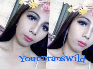YourTransWild