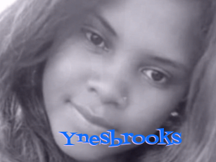 Ynesbrooks