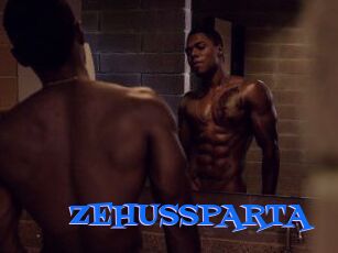 ZEHUS_SPARTA