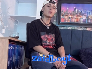 Zaidboyt